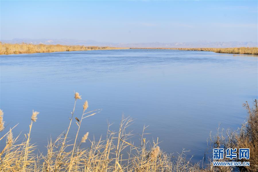 (在習(xí)近平新時代中國特色社會主義思想指引下——新時代新作為新篇章·圖文互動)(1)打響綠色品牌 “四控”治污增效——內(nèi)蒙古巴彥淖爾探索農(nóng)業(yè)高質(zhì)量發(fā)展