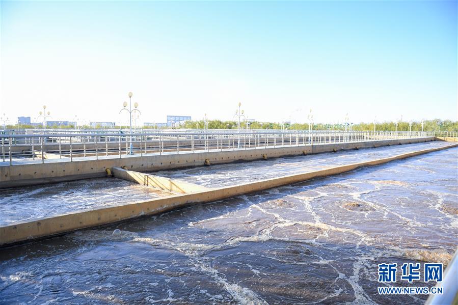 (在習(xí)近平新時代中國特色社會主義思想指引下——新時代新作為新篇章·圖文互動)(2)打響綠色品牌 “四控”治污增效——內(nèi)蒙古巴彥淖爾探索農(nóng)業(yè)高質(zhì)量發(fā)展