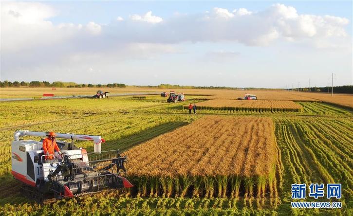 （在習近平新時代中國特色社會主義思想指引下&mdash;&mdash;新時代新作為新篇章&middot;鄉(xiāng)村振興戰(zhàn)略&middot;圖文互動）（2）&ldquo;十五連豐&rdquo;譜新篇&mdash;&mdash;端牢&ldquo;中國飯碗&rdquo;的龍江實踐