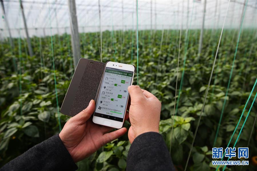 （新華全媒頭條&middot;圖文互動(dòng)）（8）聚焦高質(zhì)量，躍上新臺(tái)階&mdash;&mdash;新年開局看中國(guó)經(jīng)濟(jì)信心和潛力