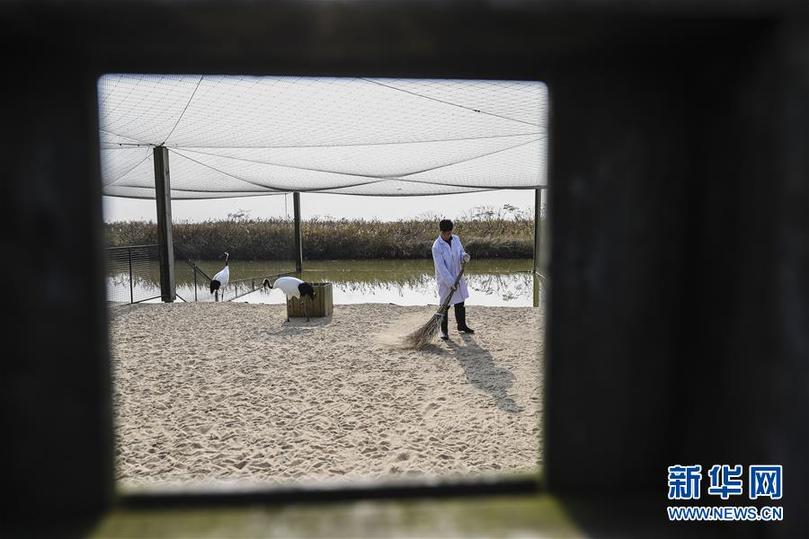 (兩會(huì)前夕看落實(shí)·圖文互動(dòng))(3)綠色發(fā)展引領(lǐng) 守護(hù)“魚米之鄉(xiāng)”——江蘇落實(shí)習(xí)近平總書記全國兩會(huì)重要講話精神紀(jì)實(shí)