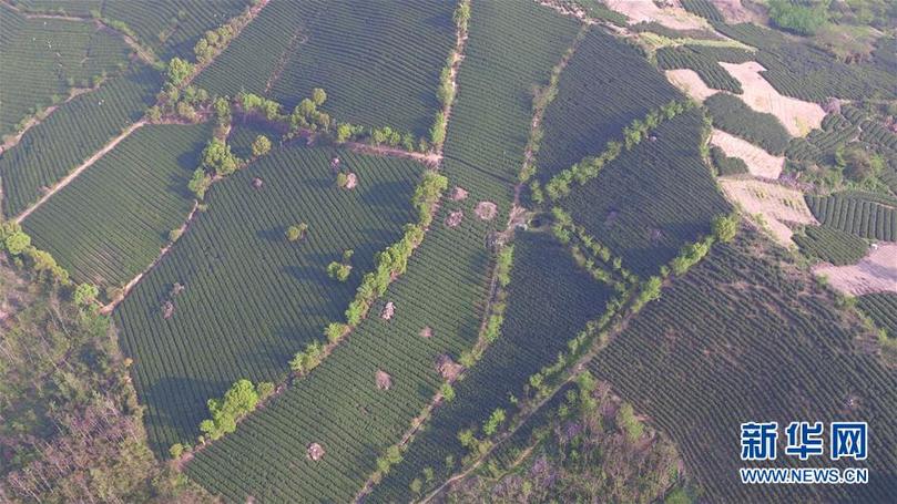 (兩會(huì)前夕看落實(shí)·圖文互動(dòng))(9)綠色發(fā)展引領(lǐng) 守護(hù)“魚米之鄉(xiāng)”——江蘇落實(shí)習(xí)近平總書記全國兩會(huì)重要講話精神紀(jì)實(shí)