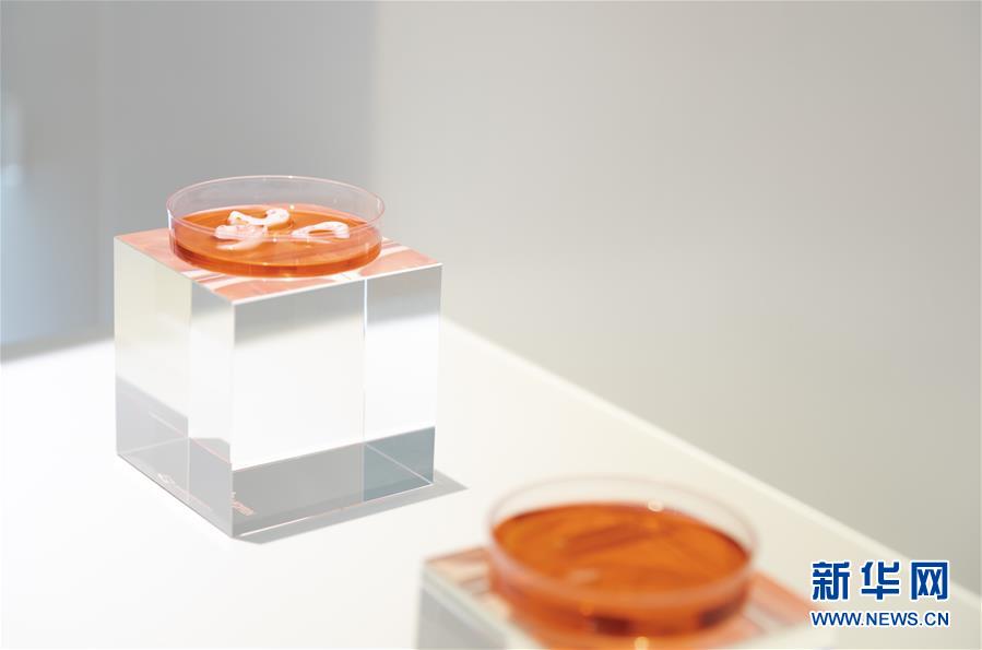 （兩會前夕看落實&middot;圖文互動）（4）&ldquo;三個第一&rdquo;催奮進 珠江潮起再出發(fā)&mdash;&mdash;廣東落實習近平總書記全國兩會重要講話精神紀實