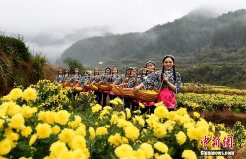 &ldquo;最中國(guó)美鄉(xiāng)村&rdquo;江西省婺源縣。胡敦煌 攝