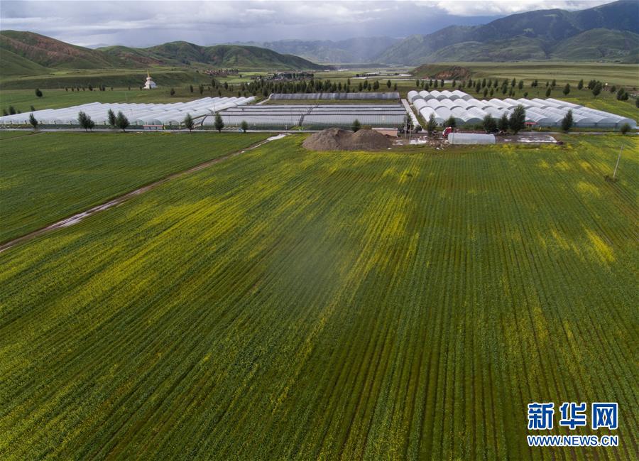 (兩會前夕看落實·圖文互動)(6)“飛針走線”“繡”出小康畫卷——四川落實習(xí)近平總書記全國兩會重要講話精神紀(jì)實