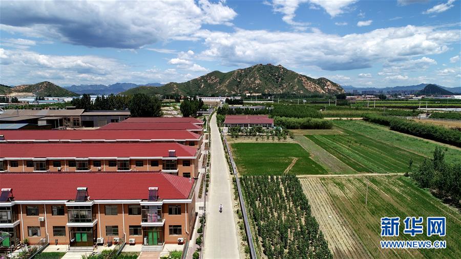 (新華全媒頭條·圖文互動(dòng))(5)承諾有“干貨” 落實(shí)有“硬招”——“全國(guó)兩會(huì)部長(zhǎng)通道”上承諾踐行情況掃描