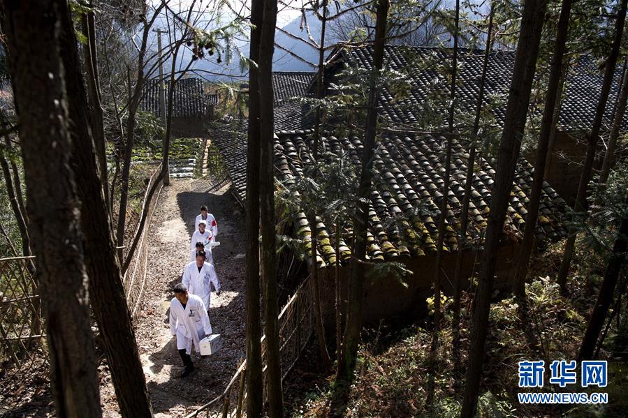 (新華全媒頭條·圖文互動(dòng))(6)承諾有“干貨” 落實(shí)有“硬招”——“全國(guó)兩會(huì)部長(zhǎng)通道”上承諾踐行情況掃描