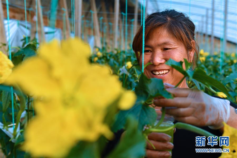（兩會前夕看落實(shí)&middot;圖文互動）（4）融合&ldquo;三生三美&rdquo; 打造鄉(xiāng)村振興齊魯樣板&mdash;&mdash;山東落實(shí)習(xí)近平總書記全國兩會重要講話精神紀(jì)實(shí)