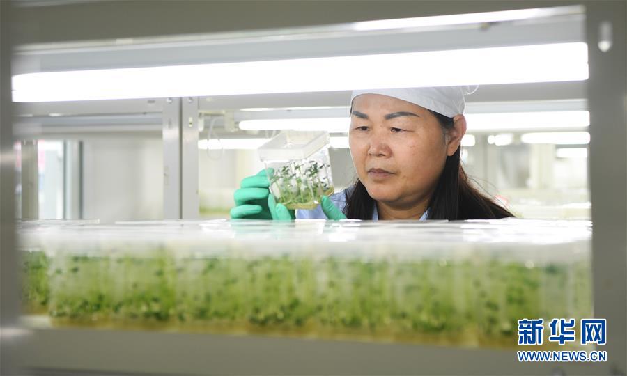 (兩會前夕看落實·圖文互動)(5)春風涌動兩江潮——重慶落實習近平總書記全國兩會重要講話精神紀實