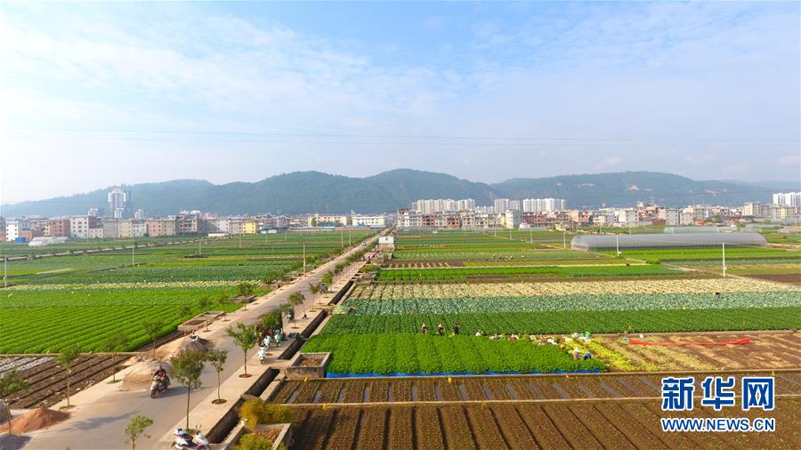 (新華全媒頭條·圖文互動)(7)滄海桑田一指間——6個村莊的70年巨變