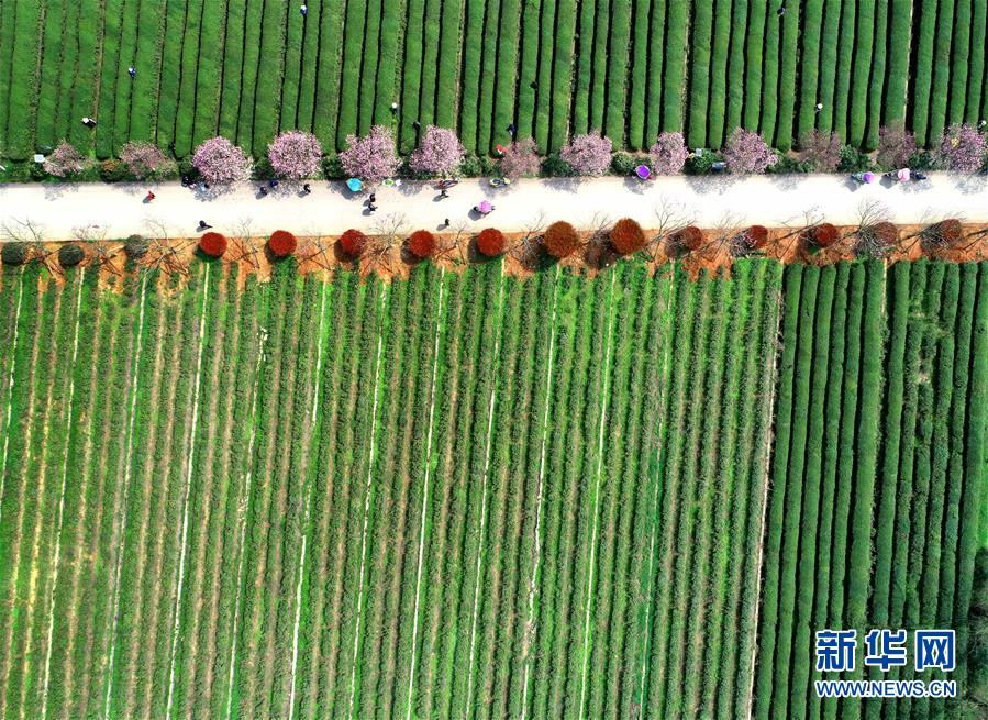 （新華全媒頭條&middot;兩會精神看落實&middot;圖文互動）（3）保持戰(zhàn)略定力 跨越重要關口&mdash;&mdash;落實兩會精神加強生態(tài)文明建設述評