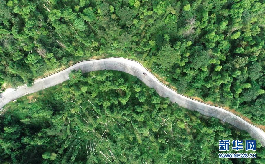 （中國(guó)網(wǎng)事&middot;感動(dòng)2019&middot;圖文互動(dòng)）（7）鄉(xiāng)村教師高自仁：60多根拐杖，撐起42年教學(xué)路