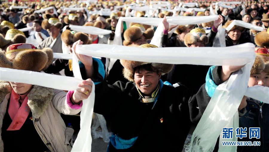 (西藏民主改革60年)(4)慶祝西藏民主改革60周年大會在拉薩舉行