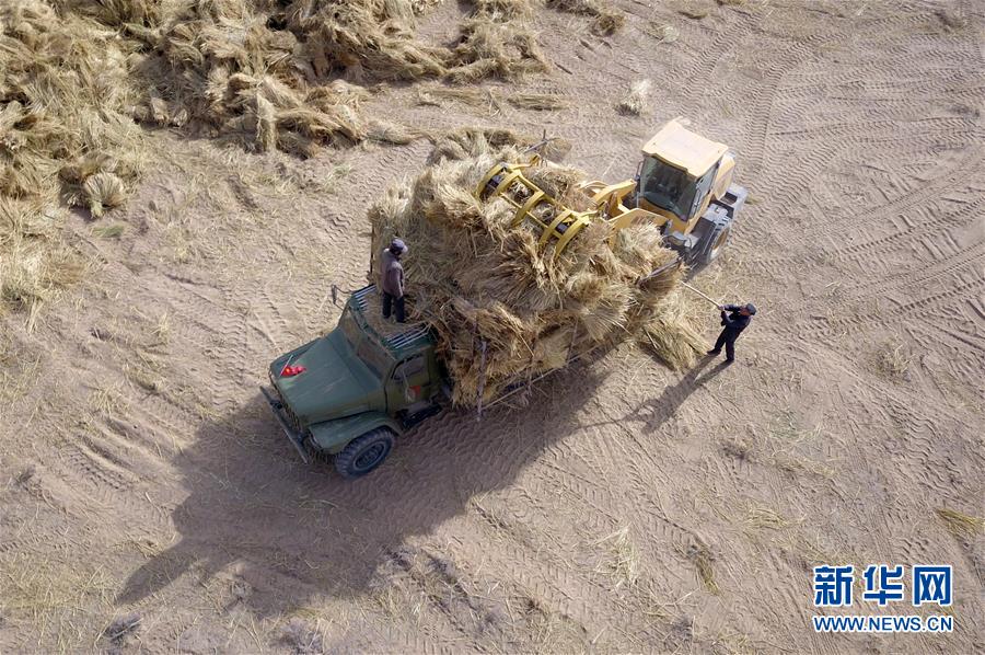 （新華全媒頭條&middot;圖文互動）（7）八步沙&middot;六老漢&middot;三代人