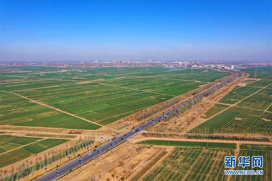 （新華全媒頭條&middot;圖文互動）（2）奮進，向著未來之城！&mdash;&mdash;河北雄安新區(qū)建設發(fā)展兩周年紀實