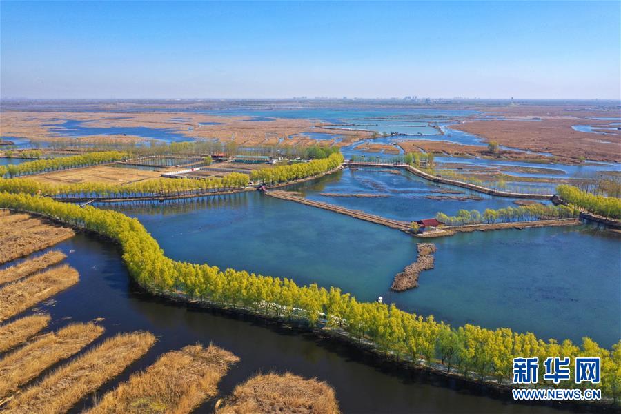 （新華全媒頭條&middot;圖文互動）（5）奮進，向著未來之城！&mdash;&mdash;河北雄安新區(qū)建設發(fā)展兩周年紀實