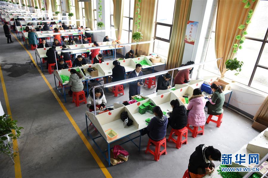 （在習近平新時代中國特色社會主義思想指引下&mdash;&mdash;新時代新作為新篇章&middot;圖文互動）（5）&ldquo;搬遷到哪里，服務就延伸到哪里&rdquo;&mdash;&mdash;貴州推進易地扶貧搬遷&ldquo;后半篇文章&rdquo; 