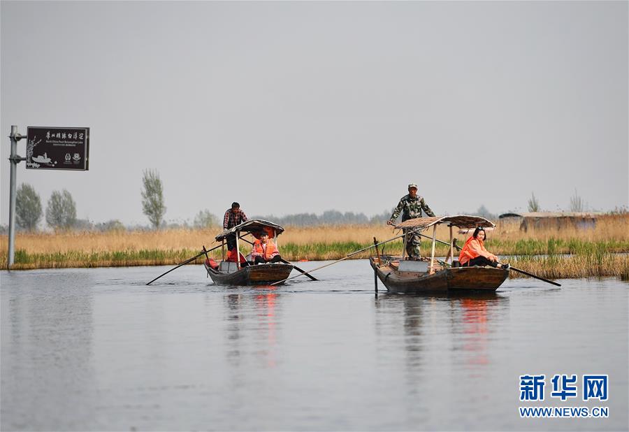 （壯麗70年&middot;奮斗新時(shí)代&middot;圖文互動(dòng)）（6）從革命老區(qū)到雄安新區(qū) 白洋淀迎來(lái)新生