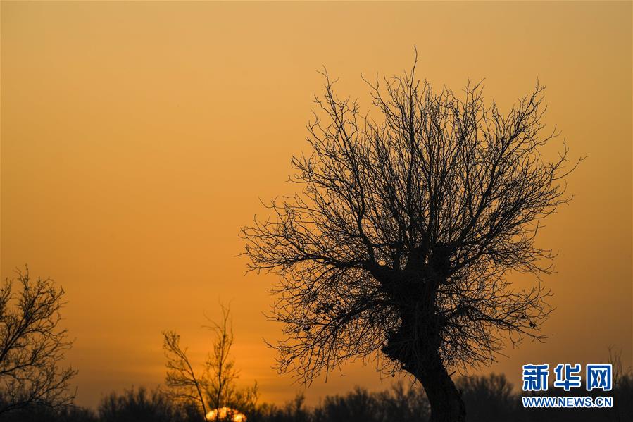 （新華全媒頭條&middot;圖文互動）（2）一步千年，&ldquo;最后的沙漠部落&rdquo;遷入新家園