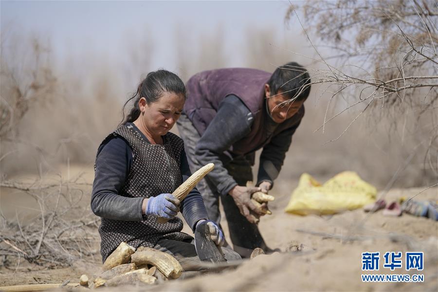 （新華全媒頭條&middot;圖文互動）（6）一步千年，&ldquo;最后的沙漠部落&rdquo;遷入新家園
