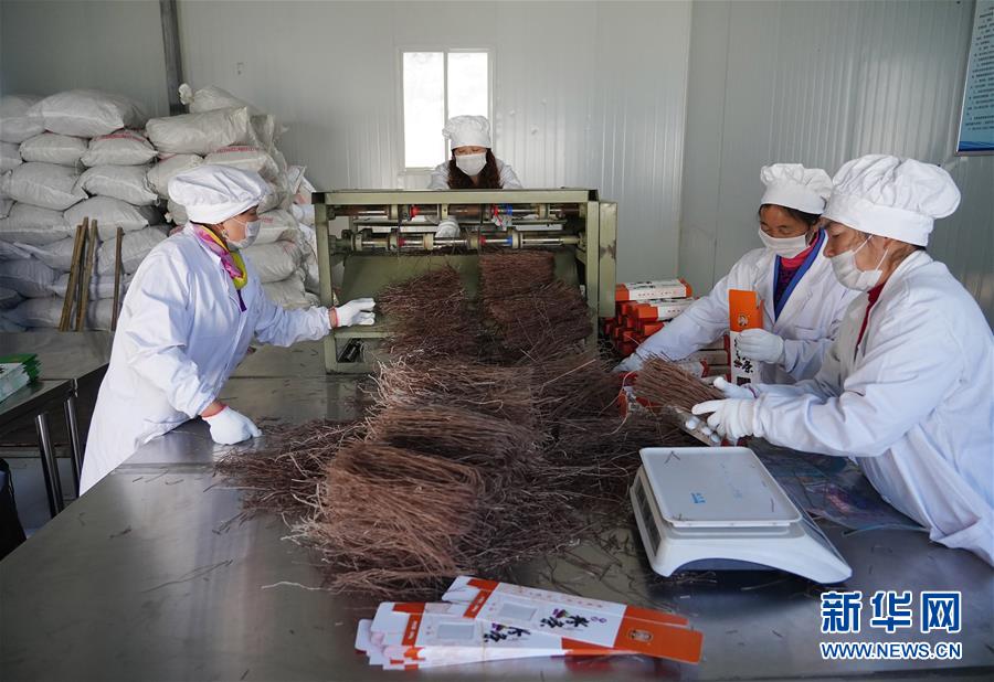 (走基層 聽民聲·圖文互動(dòng))(5)電商扶貧 讓陜西山區(qū)農(nóng)業(yè)擁抱“藍(lán)海”