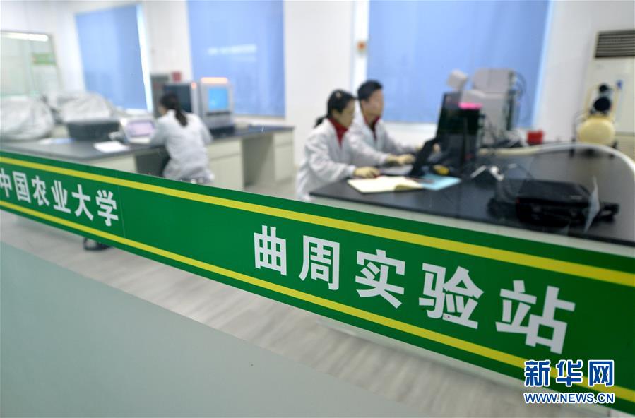 （愛(ài)國(guó)情 奮斗者&middot;圖文互動(dòng)）（3） &ldquo;解民生之多艱，育天下之英才&rdquo;&mdash;&mdash;中國(guó)農(nóng)大師生扎根田野書寫奉獻(xiàn)之歌