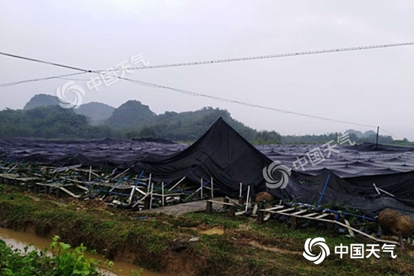 周末雨不休！南北方同迎大范圍降水