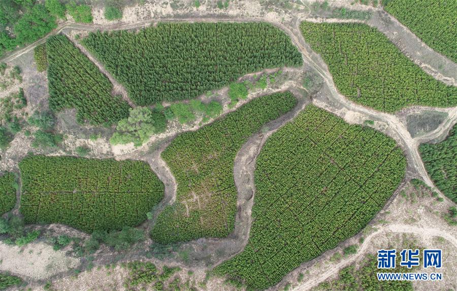 (新華全媒頭條·北京世園會(huì)·圖文互動(dòng))(8)共繪人類(lèi)生態(tài)文明美麗畫(huà)卷——從北京世園會(huì)看中國(guó)綠色發(fā)展的“世界貢獻(xiàn)”