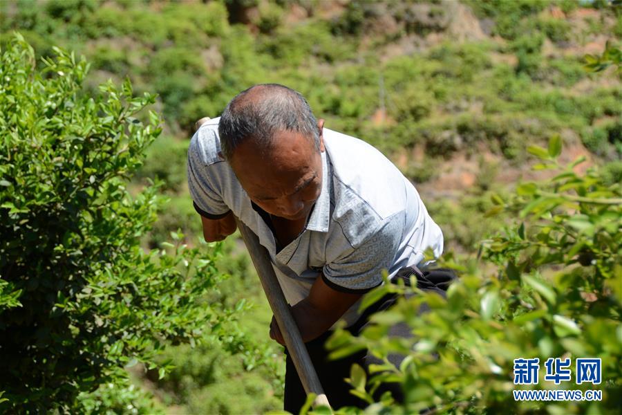 (壯麗70年&middot;奮斗新時代&middot;圖文互動）（1）福建長?。簱Q顏&ldquo;山光水濁&rdquo; 永駐綠水青山