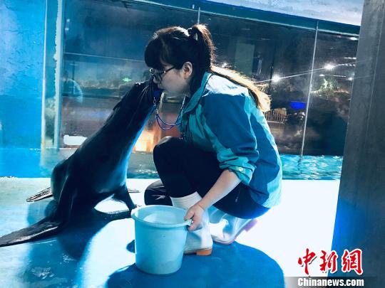 于雅麗與海獅親密瞬間?！“瑧c龍 攝