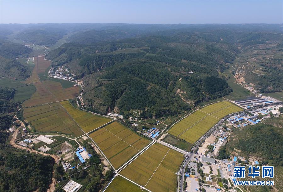 (圖文互動)(1)今日延安:“對照過去我認(rèn)不出了你”——紅色圣地的生態(tài)交響曲