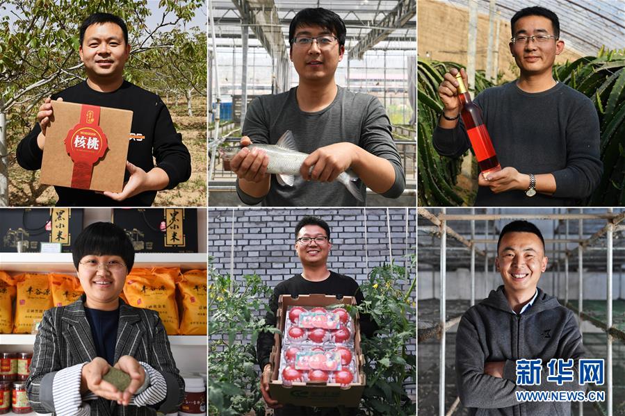 (在習近平新時代中國特色社會主義思想指引下——新時代新作為新篇章·圖文互動)(1)在綠色田野上書寫青春答卷——幾位“新農(nóng)民”的返鄉(xiāng)創(chuàng)業(yè)故事