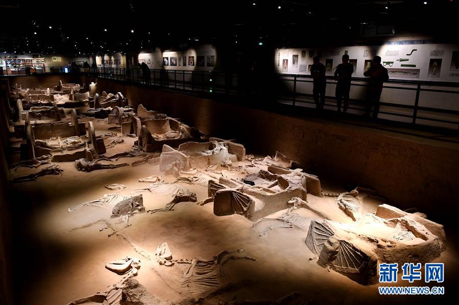 （新華全媒頭條&middot;圖文互動(dòng)）（4）&ldquo;若問古今興廢事，請君只看洛陽城&rdquo;&mdash;&mdash;千年古都&ldquo;烹制&rdquo;博物館盛宴