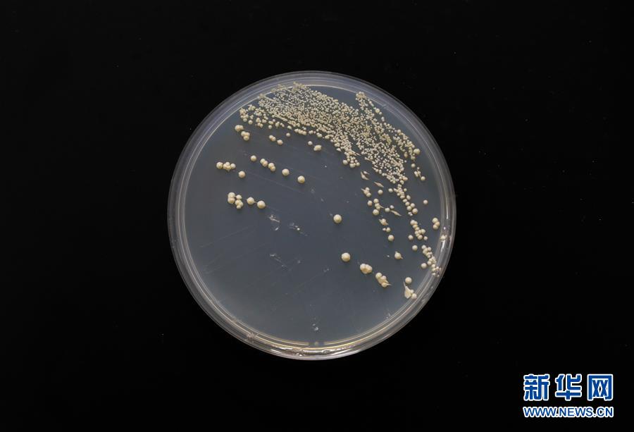 （新華全媒頭條&middot;圖文互動）（6）&ldquo;兩個一公里&rdquo;的創(chuàng)新答案&mdash;&mdash;上海全力建設(shè)全球科創(chuàng)中心紀實