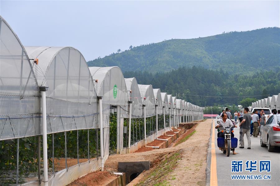 （新華全媒頭條&middot;圖文互動）（6）奮力走好新時代的長征路&mdash;&mdash;習(xí)近平總書記考察江西回訪記