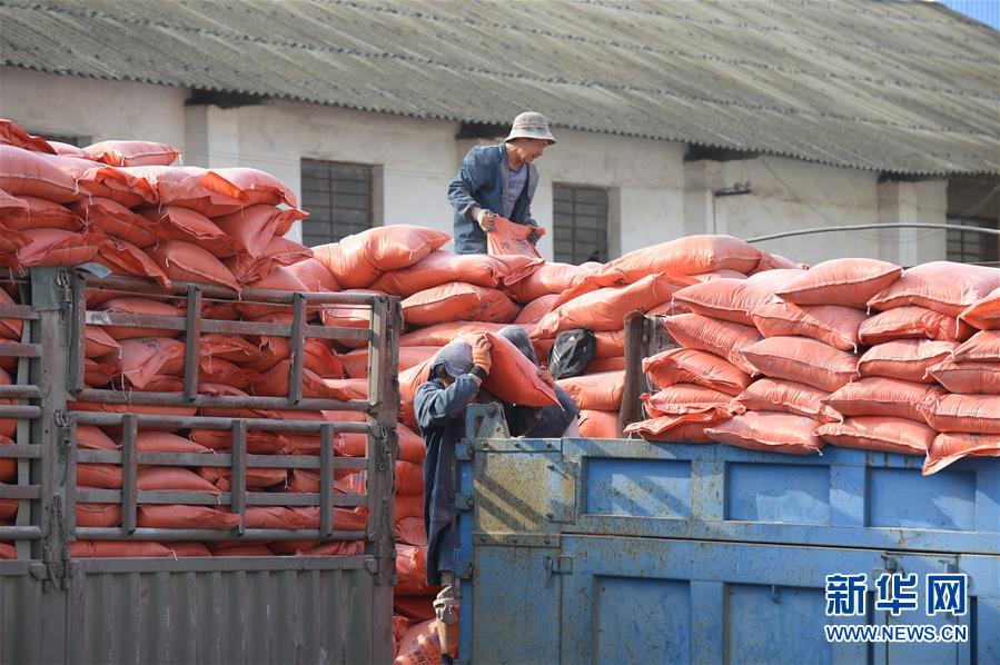 (在習(xí)近平新時(shí)代中國特色社會(huì)主義思想指引下——新時(shí)代新作為新篇章·圖文互動(dòng))(1)云南省陸良縣:農(nóng)民給供銷社打“白條”