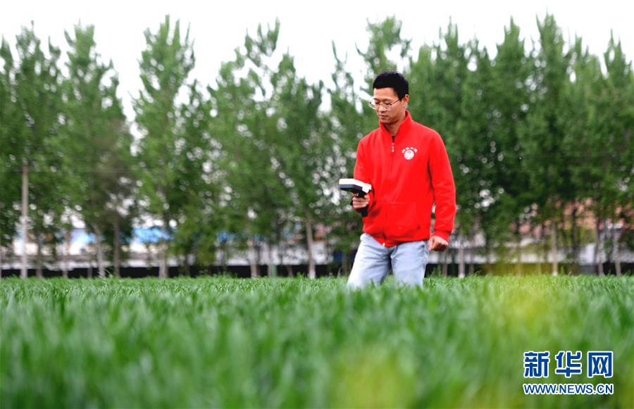 (新華全媒頭條·愛國情 奮斗者·圖文互動(dòng))(5)把論文寫在祖國的大地上——中國農(nóng)業(yè)大學(xué)46年扎根河北曲周服務(wù)鄉(xiāng)村振興紀(jì)實(shí)