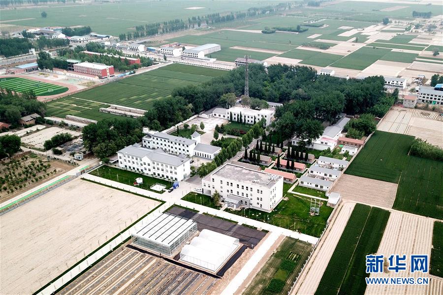 (新華全媒頭條·愛國情 奮斗者·圖文互動(dòng))(12)把論文寫在祖國的大地上——中國農(nóng)業(yè)大學(xué)46年扎根河北曲周服務(wù)鄉(xiāng)村振興紀(jì)實(shí)