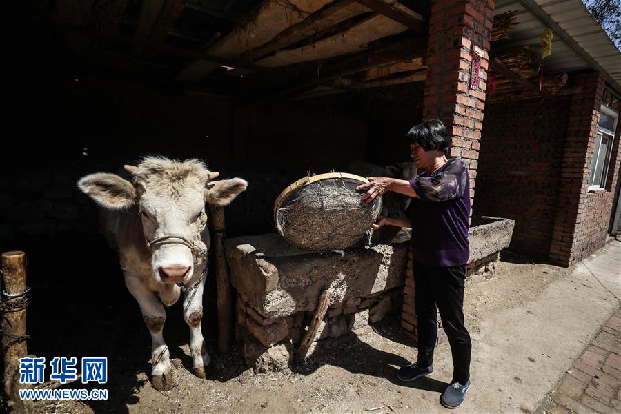 (圖文互動(dòng))(2)一條38年的生命通道:媽媽會(huì)一直把你當(dāng)作“雛鳥(niǎo)”