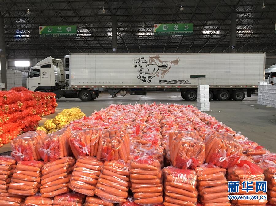 (在習近平新時代中國特色社會主義思想指引下——新時代新作為新篇章·圖文互動)(1)牡丹江:小果蔬透著三種“范兒”