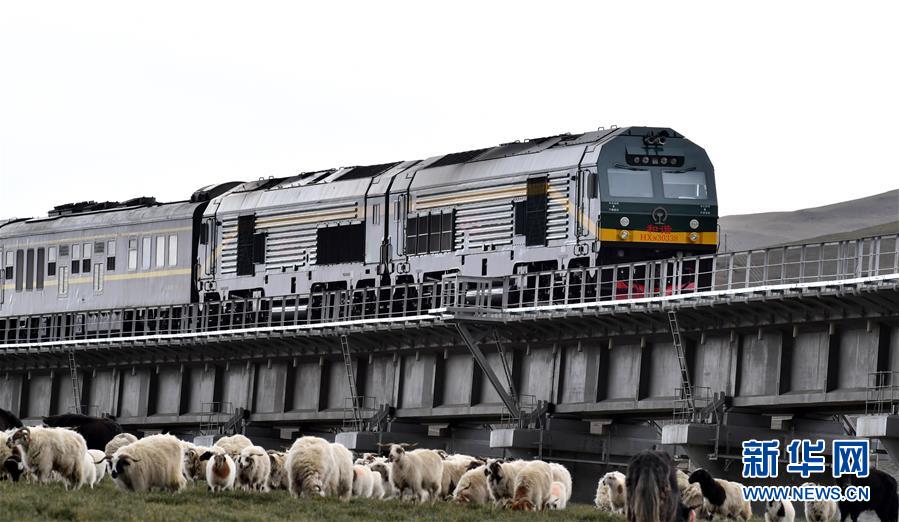 (新華全媒頭條·壯麗70年·奮斗新時(shí)代·圖文互動(dòng))(12)開拓雪域高原的夢(mèng)想之路——來自青藏鐵路的蹲點(diǎn)報(bào)告