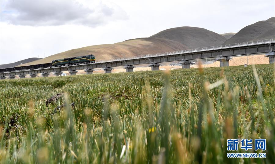 (新華全媒頭條·壯麗70年·奮斗新時(shí)代·圖文互動(dòng))(15)開拓雪域高原的夢(mèng)想之路——來自青藏鐵路的蹲點(diǎn)報(bào)告