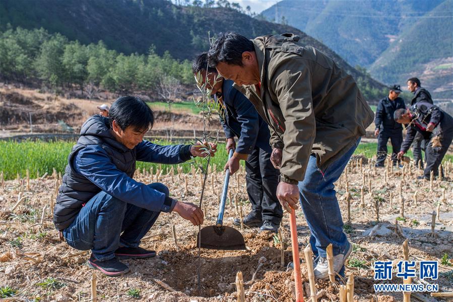(新華全媒頭條·圖文互動(dòng))(4)藏區(qū)“感恩連”