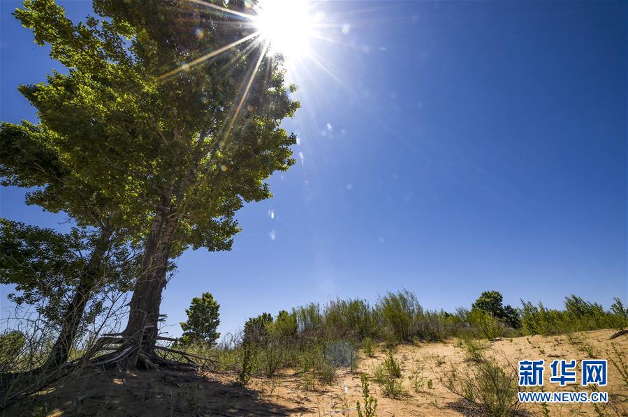 (新華全媒頭條·壯麗70年·奮斗新時代·圖文互動)(5)中國減貧的西海固報告