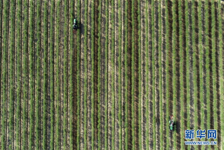 (新華全媒頭條·壯麗70年·奮斗新時代·圖文互動)(8)中國減貧的西海固報告
