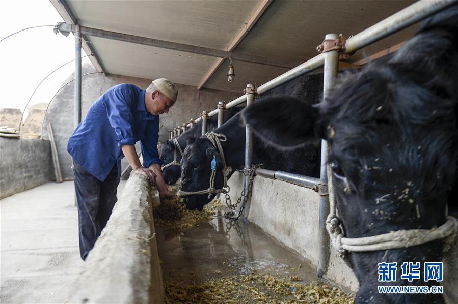 (新華全媒頭條·壯麗70年·奮斗新時代·圖文互動)(10)中國減貧的西海固報告