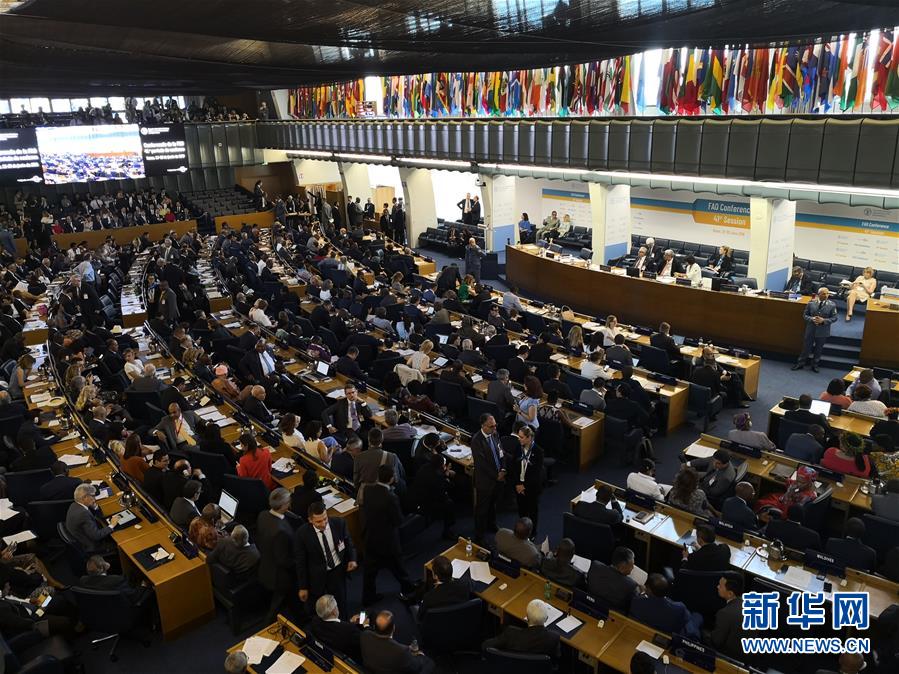 (國(guó)際)中國(guó)農(nóng)業(yè)農(nóng)村部副部長(zhǎng)屈冬玉當(dāng)選聯(lián)合國(guó)糧農(nóng)組織總干事