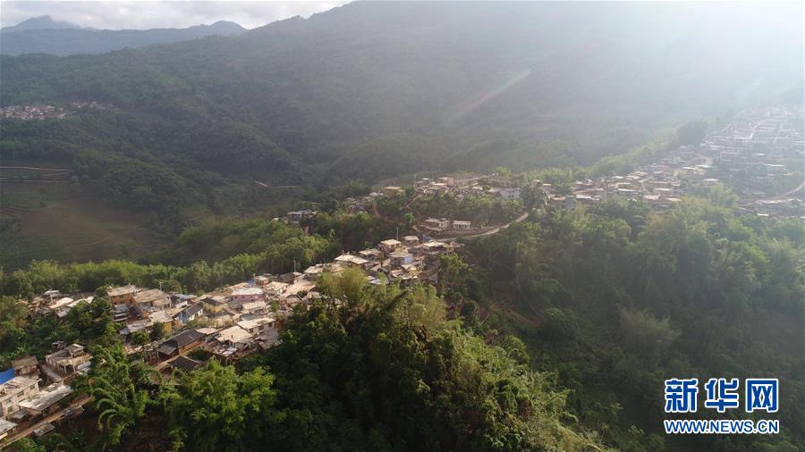 (直過(guò)民族脫貧攻堅(jiān)·圖文互動(dòng))(1)又見白鷴鳥