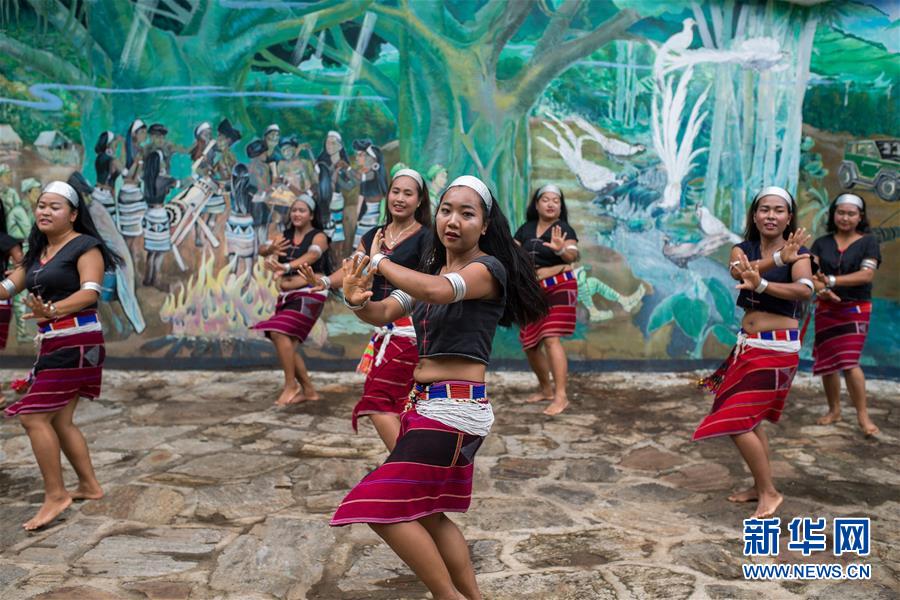 (直過(guò)民族脫貧攻堅(jiān)·圖文互動(dòng))(2)又見白鷴鳥