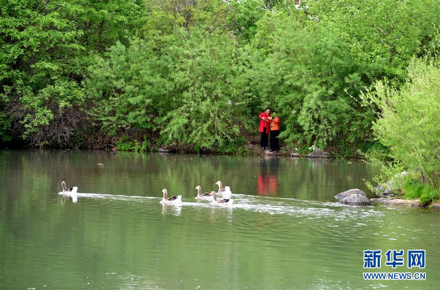 （在習(xí)近平新時(shí)代中國(guó)特色社會(huì)主義思想指引下&mdash;&mdash;新時(shí)代新作為新篇章&middot;圖文互動(dòng)）（4）在這里，遇見(jiàn)&ldquo;詩(shī)和遠(yuǎn)方&rdquo;&mdash;&mdash;長(zhǎng)白山下&ldquo;第一鎮(zhèn)&rdquo;的全域旅游實(shí)踐